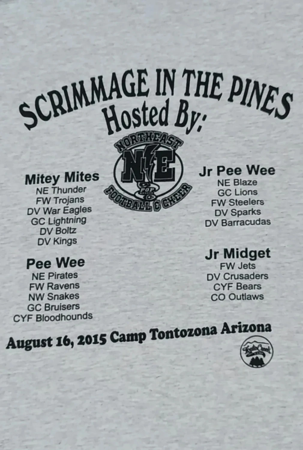 Camiseta Gildan Scrimmage In The Pines 2015 Futebol EUA cinza Tamanho M – photo 4